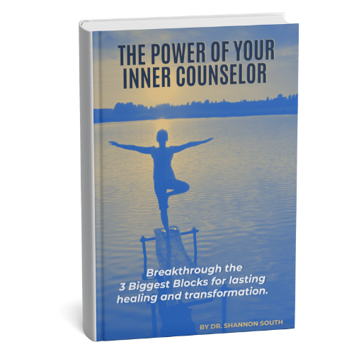 The Power of Your Inner Counselor By Dr. Shannon South